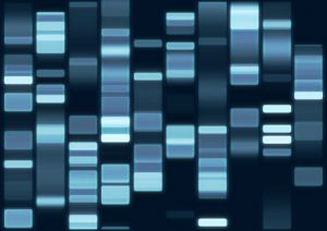Parásitos moleculares en el genoma humano