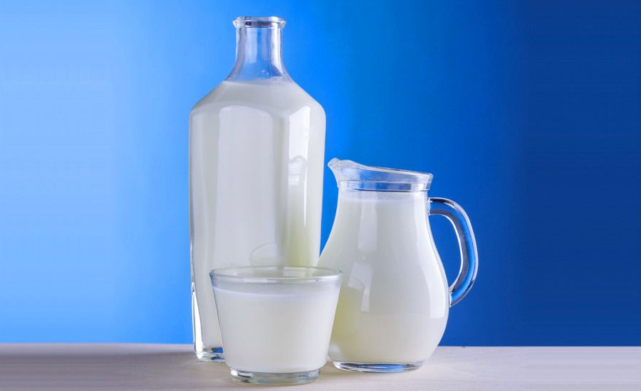 La leche, un alimento alto en proteinas