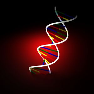 El modelo del genoma descubrirá nuevas funciones de las proteínas