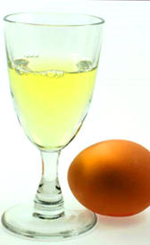 Proteínas de la clara de huevo