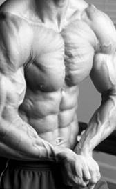 Proteínas y masa muscular