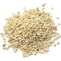 Proteínas de la quinoa