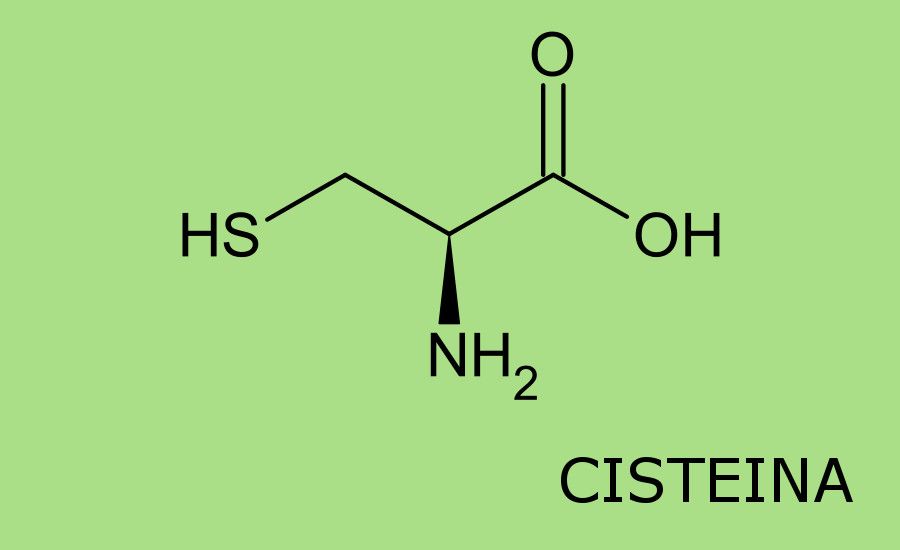 Cisteína