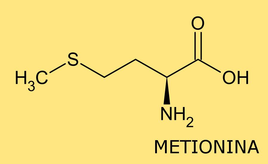 Metionina