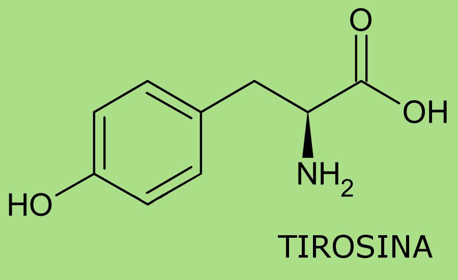 Tirosina